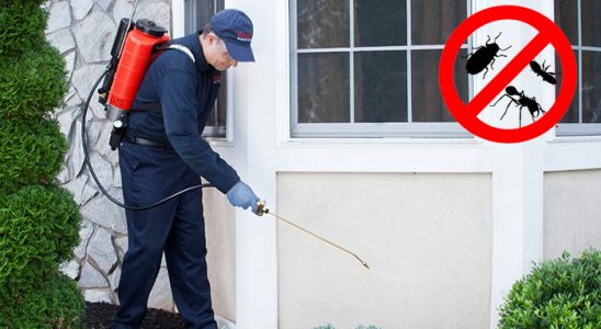 Adaklı Akrep İlaçlama böcek ilaçlama ve haşere kontrolü — ilaclama-tr.com